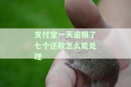 支付宝一天逾期了七个还款怎么能处理完，逾期一天还款有影响吗？