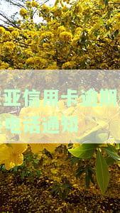 东亚信用卡逾期未接电话通知