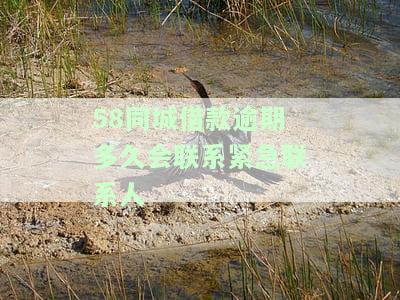 逾期多久会被起诉每个月还700元，借款逾期上征信后果有多严重？