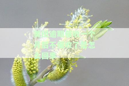 美团逾期催收一个月后不催收了是怎么回事