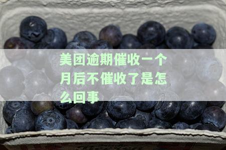 美团逾期催收一个月后不催收了是怎么回事