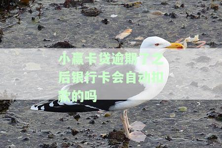 小赢卡贷逾期了之后银行卡会自动扣款的吗