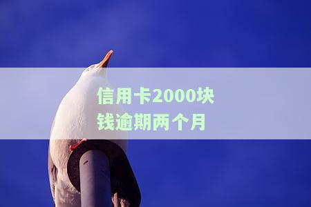 信用卡2000块钱逾期两个月怎么办理并解决逾期26个月的问题？