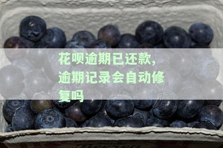 花呗逾期已还款，逾期记录会自动修复吗安全吗？