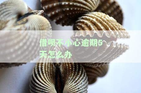 借呗不小心逾期5天怎么办