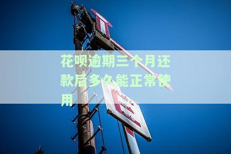 花呗逾期三个月还款后多久能正常使用了及相关信息