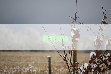 逾期日语