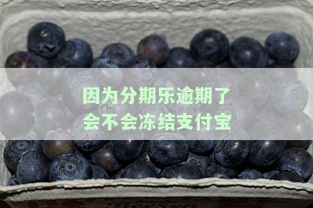分期乐逾期会冻结名下所有银行卡吗，分期乐贷款逾期会冻结个人财产吗？