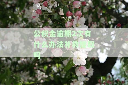 公积金逾期两次,还能提出来吗，会影响征信吗？
