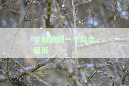 中邮逾期一个月要求全部还完，还完才能撤诉