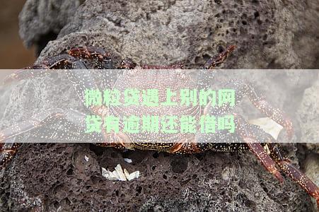 微粒贷遇上别的网贷有逾期还能借吗