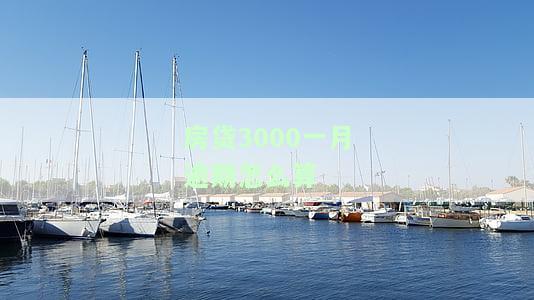 房贷3000一个月利息、罚息、年薪及逾期三个月的影响