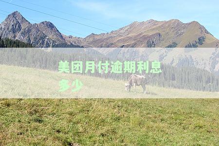 美团月付逾期几个月没还后果会怎么样，欠美团一万多块钱还不上起诉会坐牢吗，怎么办？