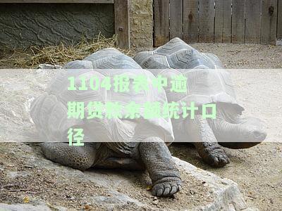 逾期汇总中的月份数和逾期信息汇总月份数是什么意思