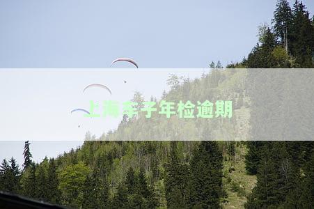 上海车子年检逾期怎么办，手续和处罚解析