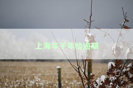 上海车子年检逾期需要哪些资料和手续以及如何处罚