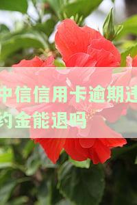 中信信用卡逾期违约金能退吗现在的处理方法及金额