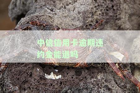 中信信用卡逾期违约金能退吗