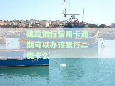 建行逾期还款后影响我办其他银行信用卡吗