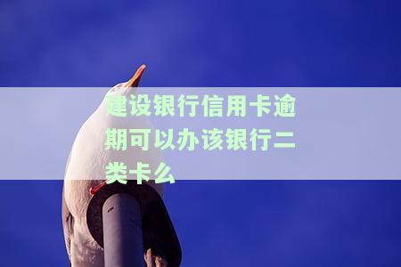 建行有逾期记录怎么再申请建行信用卡及还款？