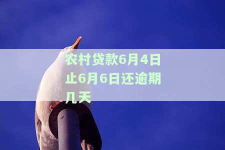 农村贷款逾期几天会怎么样处理及多久消除