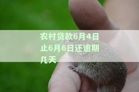 农村贷款是按月还的还是到期还的划算及还款日期规定