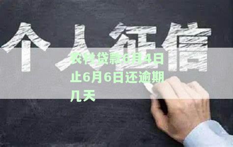 农村贷款6月4日止6月6日还逾期几天