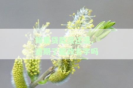 如果贷款没还清,逾期了能改名字吗，怎么办？