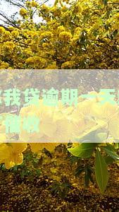 你我贷逾期三天催收说要给你家里打电话