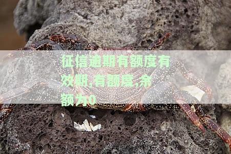 征信逾期有额度有效期，余额为0的意思及解释
