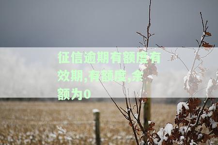 征信逾期有额度有效期,余额为0怎么回事？