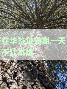 中国签证逾期一天有记录吗，现在逾期几天怎么办？