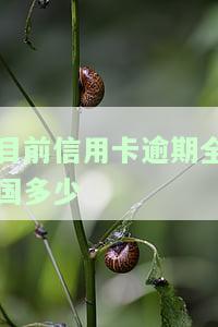 现在全中国信用卡逾期有多少人被起诉，我国有多少信用卡逾期的