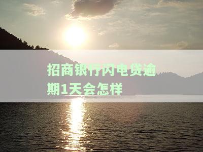 招商银行闪电贷逾期全额还款要求