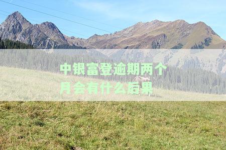 中银富登好不好贷款，怎么样?