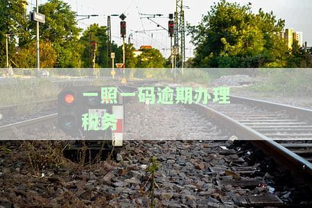 税务一照一码申报流程及意义