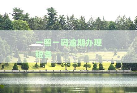 一照一码审核不通过能办理税务登记吗，怎么办？
