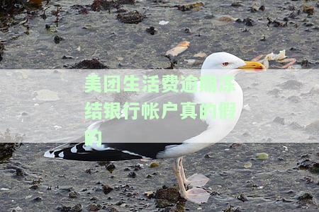美团生活费逾期几天被冻结微信怎么办，银行卡和支付宝会被冻结吗？