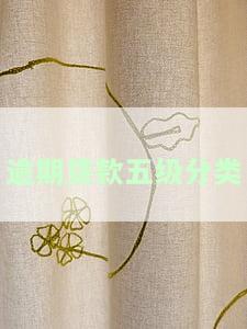 贷款逾期五级分类什么意思及相关解析