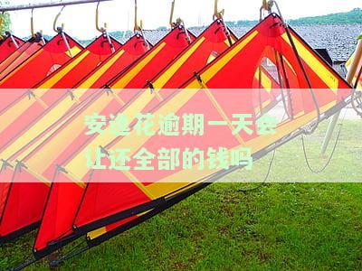 安逸花逾期一天后果及应对措