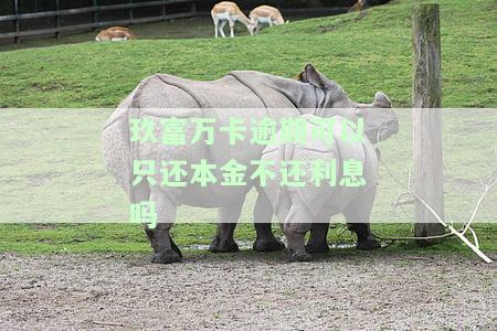 玖富万卡逾期可以只还本金不还利息吗，怎么办？