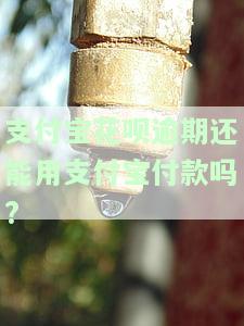 支付宝花呗逾期还能用支付宝付款吗安全吗？