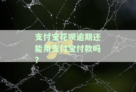 花呗逾期还可以用支付宝吗