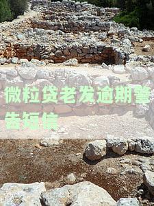 微粒贷贷款逾期发出警告短信，威胁要一次还完，怎么办？