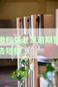 微粒贷发信息严重警告2021年，怎么办？