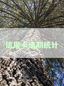 信用卡逾期统计怎么查看记录查询