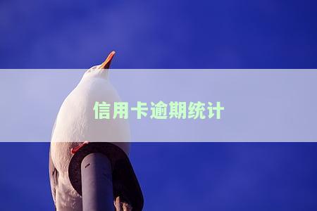 信用卡逾期统计表怎么填