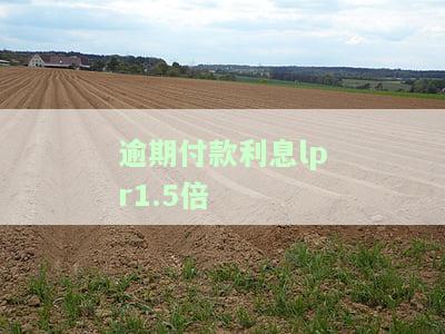 逾期付款利息LPR1.5倍