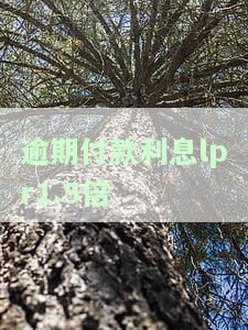民间借贷司法解释lpr逾期利息及相关问题
