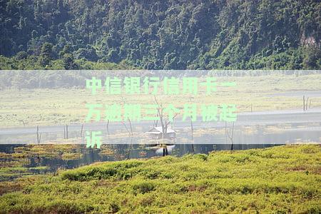 中信银行欠款一万多逾期2个月要起诉，逾期三个月会被起诉吗？